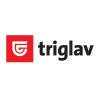 Triglav zavarovanje elektronskih naprav IPAD AW, 3 leta, 500,01  – 750,00 €