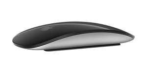 Magic Mouse